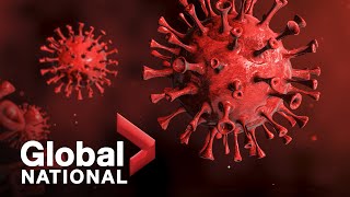 Global National Nov 30 2021  More travel restrictions as Omicron raises vaccine questions [upl. by Charley]