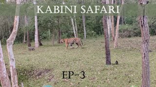 Kabini Evening Safari  2 Tigers sighted  EP  3 [upl. by Bentlee875]