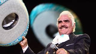 Vicente Fernández  El Rey 432Hz [upl. by Calvo]