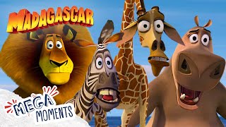 Shows Over Folks  Madagascar  Mega Moments [upl. by Salguod]