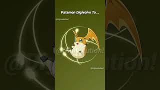 Patamon Evolution to Angemon [upl. by Uriel]