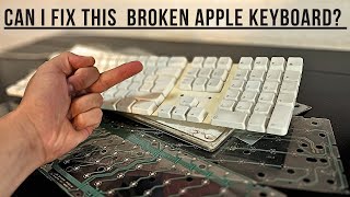 Are Old Apple Keyboards Fixable [upl. by Oesile629]