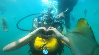 Scuba Diving In Goa  Honeymoon Trip goa vlog scubadiving [upl. by Lleryd]