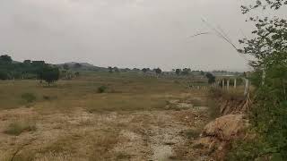 veldanda kalwakurthy land sale 15 acors price 45 lacs per acre agriculture 94903 15226 [upl. by Yeta590]