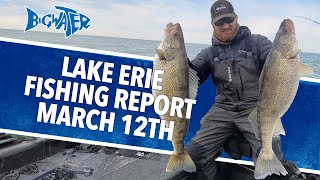 Lake Erie Walleye Fishing Report March 12th 2024 [upl. by Gunning]