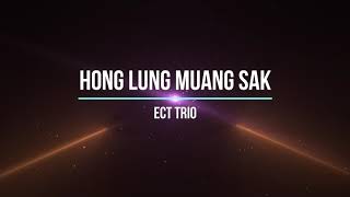 Hong Lung Muang Sak  ECT Trio  Karaoke  Lamal [upl. by Eillat358]