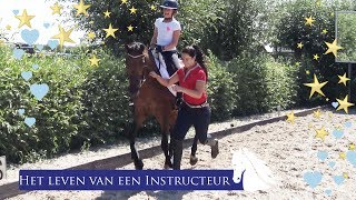 7 Type leerlingen met Daniëlle van Mierlo  Hart voor Paarden [upl. by Essile]