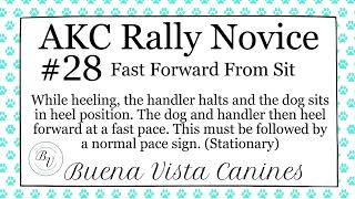 AKC Rally Novice 28 Fast Forward From Sit [upl. by Dachia]