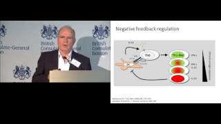 David Wraith Switching off immunity the mechanism of antigenspecific immunotherapyity [upl. by Carmelo]