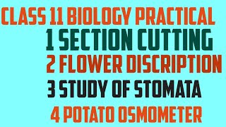 Class 11 biology practical core experiments and slide [upl. by Giarla762]