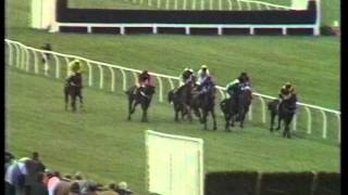 1991 Sandeman Aintree Hurdle [upl. by Celene]