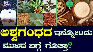 ಅಶ್ವಗಂಧ  Ashwagandha Benefits for Men in Kannada  5 Brilliant Benefits of Ashwagandha in Kannada [upl. by Acirederf]