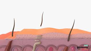 Dauerhafte Haarentfernung und AntiAging Effekt dank Laser  IPL SHR M26 – SHR Germany [upl. by Aleekat]