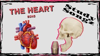 Heart Anatomy Song  Study Songz  Heart Blood Flow and Conduction [upl. by Assirehc167]