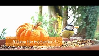 Schöne Herbstferien [upl. by Anaujit]