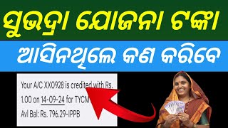 ସୁଭଦ୍ରାଟଙ୍କା ଆସିନଥିଲେ ଦେଖନ୍ତୁsubhadra yojana 1st instalment not Resivesubhadra yojana money credit [upl. by Eicam17]