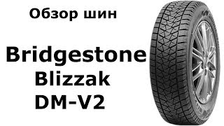 ❄ Bridgestone Blizzak DM V2  обзор зимних шин Замер ДЮРОМЕТРОМ 👍 [upl. by Ynnavoeg]