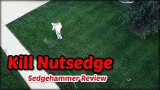 How To Kill Nutsedge  Sedgehammer and ProSedge Review [upl. by Tertius550]