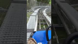 Toboggan run in Germany 😂 [upl. by Ilojne449]