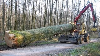 Präsentation Welte W130K Eisbruchkatastrophe Slowenien [upl. by Colley]