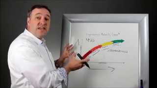 HT Whiteboard The Ergonomics Maturity Curve® [upl. by Jessy26]