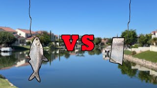 LIVE BAIT VS CUT BAIT  What Bait Catches More Fish [upl. by Neumann102]