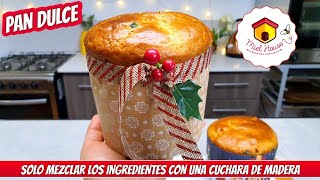 PAN DULCE ECONÓMICO sin amasar y sin manteca SOLO MEZCLAMOS CON UNA CUCHARA [upl. by Knut]