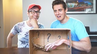 WHATS IN THE BOX CHALLENGE [upl. by Suzy]