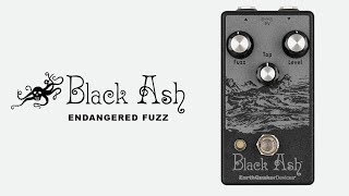 EarthQuaker Devices Black Ash Endangered Fuzz [upl. by Elleved353]