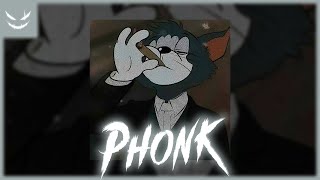 1 Hour Brazilian Phonk ♆ Best Hard Brazilian Phonk ♆ Фонк 2024 038 [upl. by Atineg]