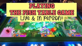 In Person Live Fish Table Game 🐠 Playing Fish Casino Game 💵💰 [upl. by Sharia]