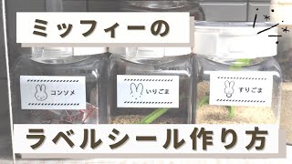 【ミッフィーのラベルシール作り方】ピータッチキューブで調味料ラベルを作成！ミッフィーのイラストも無料配布！キッチン収納テプラ｜調味料シール [upl. by Oria]