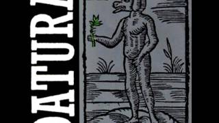 Datura  Yerba Del Diablo Yaqui Radio Mix [upl. by Akeret]