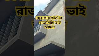 কেরালার প্লাস্টার । Kerala pilastershorts ytshorts song [upl. by Quickel561]