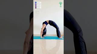 How to Perfect Your Chakrasana – Backbend for Strength amp Flexibility  Daily Yoga  Yoga Life [upl. by Constantina]