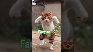 fanny 😻😺😾 music musicsong cat musicstyle motivation funny musicgenre comedy catlover cat [upl. by Analem]