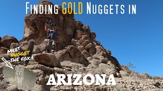 Prospecting For Gold Nuggets With Metal Detectors In the Southwestern Arizona Desert [upl. by Maxma691]