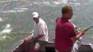 Red River Striper Guide ServiceNorman Oneal [upl. by Notgnilliw]