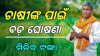 Odisha Fasal Bima Yojana 2024  PMFBY  Pradhan Mantri Fasal Bima Yojana [upl. by Chrissa]