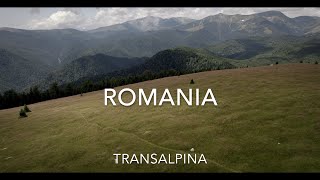 Romania  Transalpina the highest road in Romania 4k [upl. by Judsen]