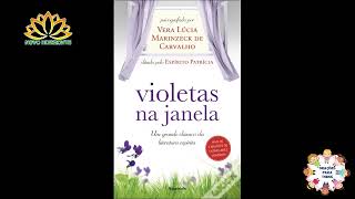 VIOLETAS NA JANELA  Radionovela Completa [upl. by Ennaesor]