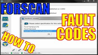 Forscan  How To Read And Delete Fault Codes [upl. by Johen]