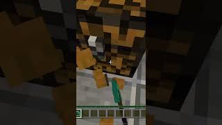 Escaping from Minecraft prison Minecraft prison escape shorts [upl. by Torry]