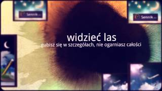 Sennik Las  Odkryj Znaczenie Snów o Lesie  Sennikbiz [upl. by Asseniv]