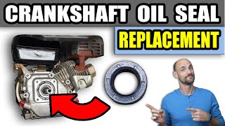 Oil Seal Replacement  Small Engine Crankshaft Seal [upl. by Enaj]