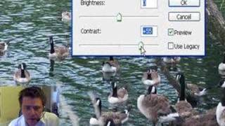 Photoshop CS3  Brightness amp Contrast [upl. by Yvi]