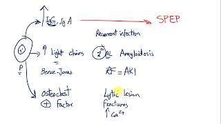 Plasma cell disorders Multiple myeloma MGUS Waldenstrome macroglobulinemia [upl. by Hestia]