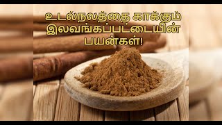 Cinnamon Medicinal Uses in Tamil  Lavangam Pattai Payangal  Healthy Life  Tamil [upl. by Prosperus]