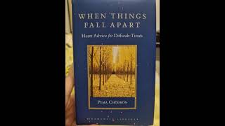 Audio Pema Chodron  Nonaggression and Four Maras [upl. by Randie]