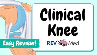 Knee Joint Anatomy  Clinical Lesson Simplified [upl. by Noma415]